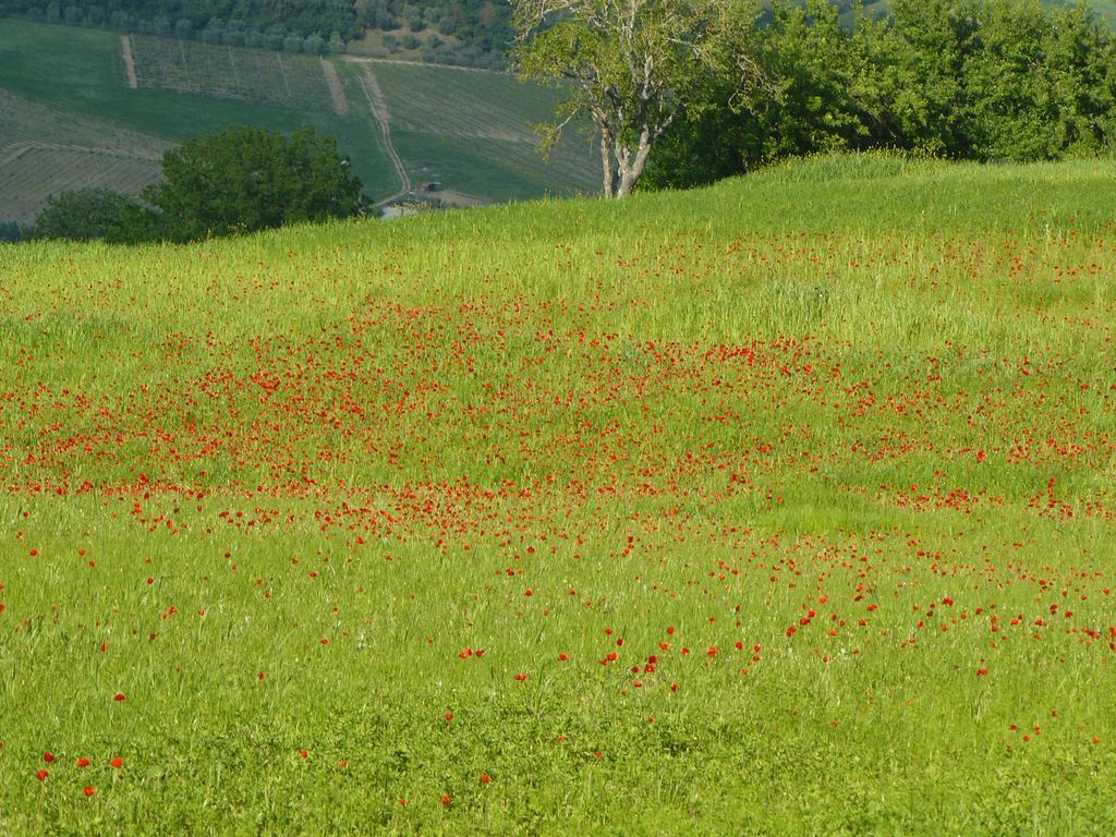 Villa Il Palazzo Dei Diavoli à Montepulciano Stazione Extérieur photo